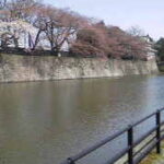 2014040913000000.jpg